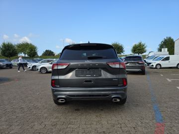 Bild 4 Ford Kuga ST-Line X 2.5 FHEV Sportpaket HUD Navi Lede
