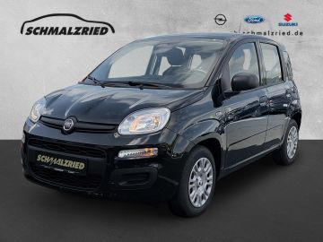 Bild Panda Fiat