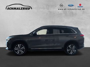 Bild 2 Elaris Andere BEO kostenlose Fahrzeuglieferung in DE Navi Lede