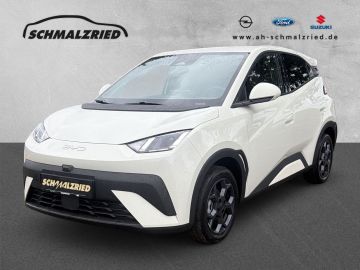 Bild DOLPHIN SURF BYD