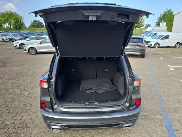 Bild 8 Ford Kuga ST-Line X 2.5 FHEV Sportpaket HUD Navi Lede