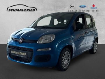 Bild Panda Fiat