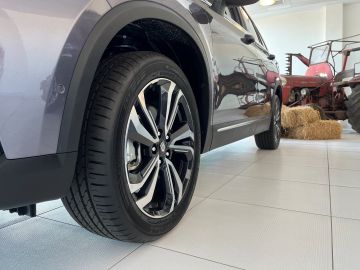 Bild 4 Elaris Andere BEO kostenlose Fahrzeuglieferung in DE Navi Lede