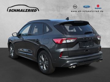 Bild 3 Ford Kuga ST-Line X 2.5 FHEV Sportpaket HUD Navi Lede