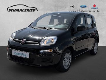 Bild Panda Fiat