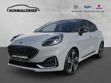Bild Puma Ford
